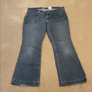 Gap Women's Blue Denim Long and Lean Jeans Size 8 Ankle (Good)